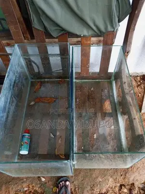 Fish Tank Set