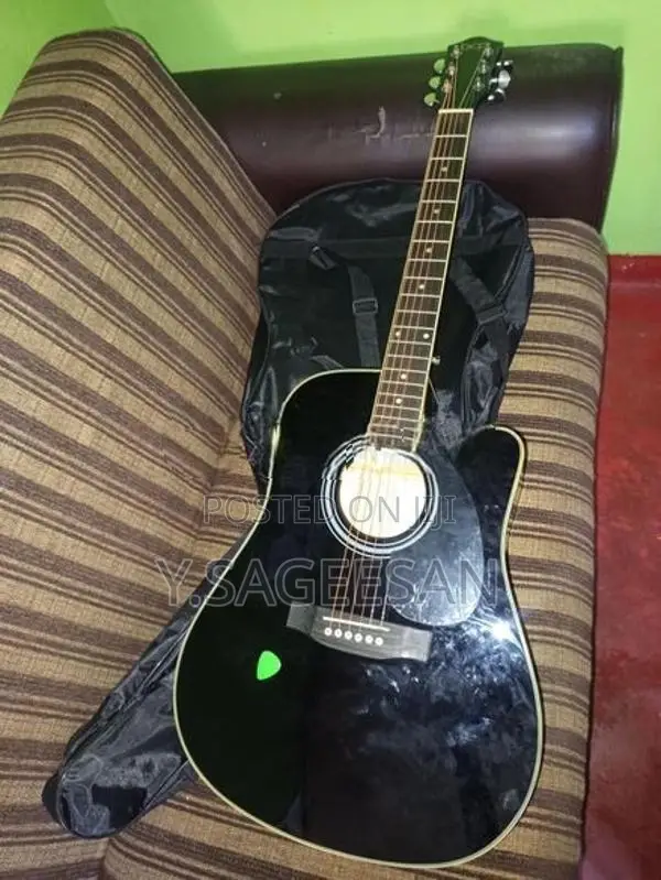 Guitar