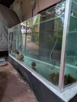 Fish Tank 8mm