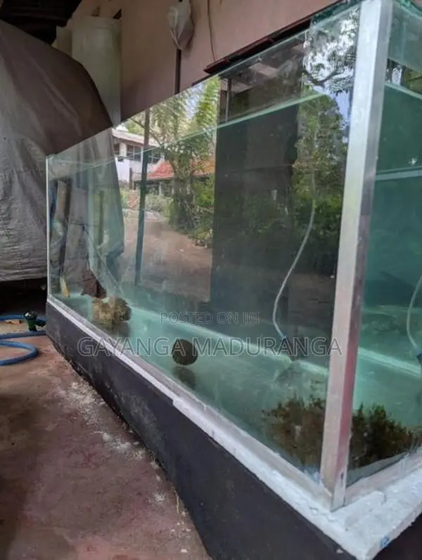 Fish Tank 8mm