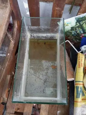 Fish Tank Set