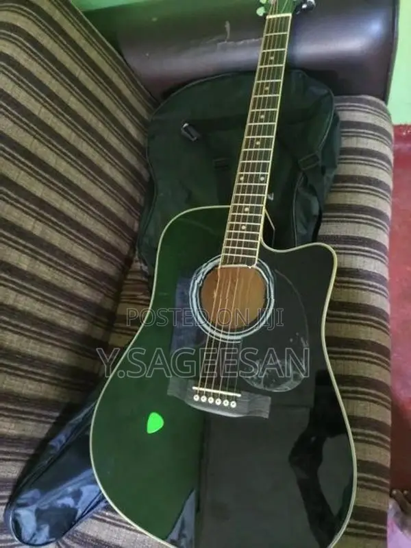 Guitar