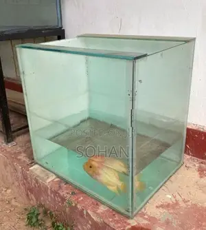 03 Fish Tanks with Stands
