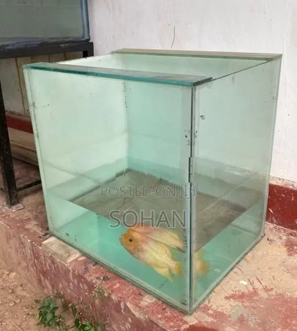 03 Fish Tanks with Stands
