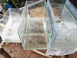 Fish Tank Set