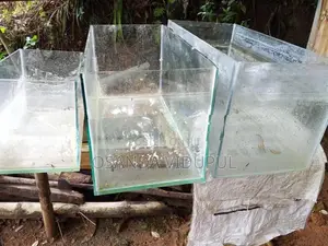 Fish Tank Set