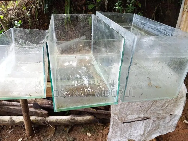 Fish Tank Set