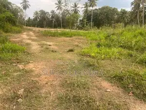 ඉඩමක් විකිණීමට Diddeniya