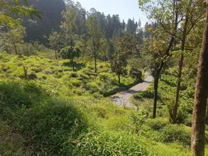හපුතලේ ඉදල්ගස්හින්න හා පදිංචියට සුපිරි බිම්කොටස් ඩී