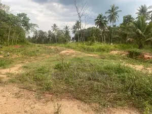 ඉඩමක් විකිණීමට Diddeniya