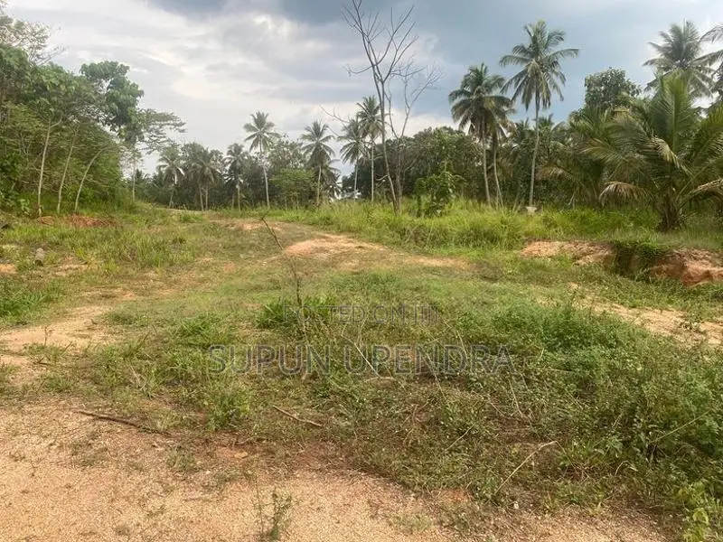 ඉඩමක් විකිණීමට Diddeniya