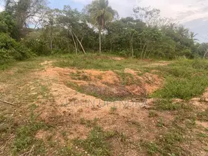 ඉඩමක් විකිණීමට Diddeniya
