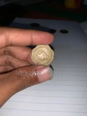 Brazil King's Coins