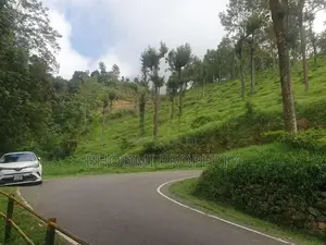 හපුතලේ ඉදල්ගස්හින්න හා පදිංචියට සුපිරි බිම්කොටස් ඩී