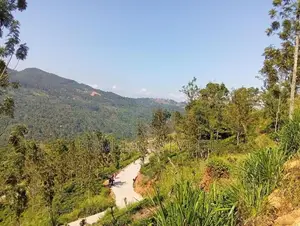 Beautiful land in Nilaba