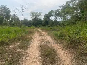 ඉඩමක් විකිණීමට Diddeniya