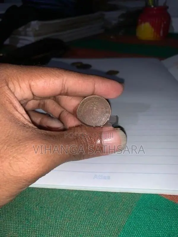 Brazil King's Coins