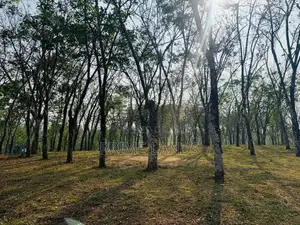 Valuable Plots for Sale in Horana