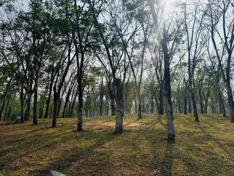 Valuable Plots for Sale in Horana
