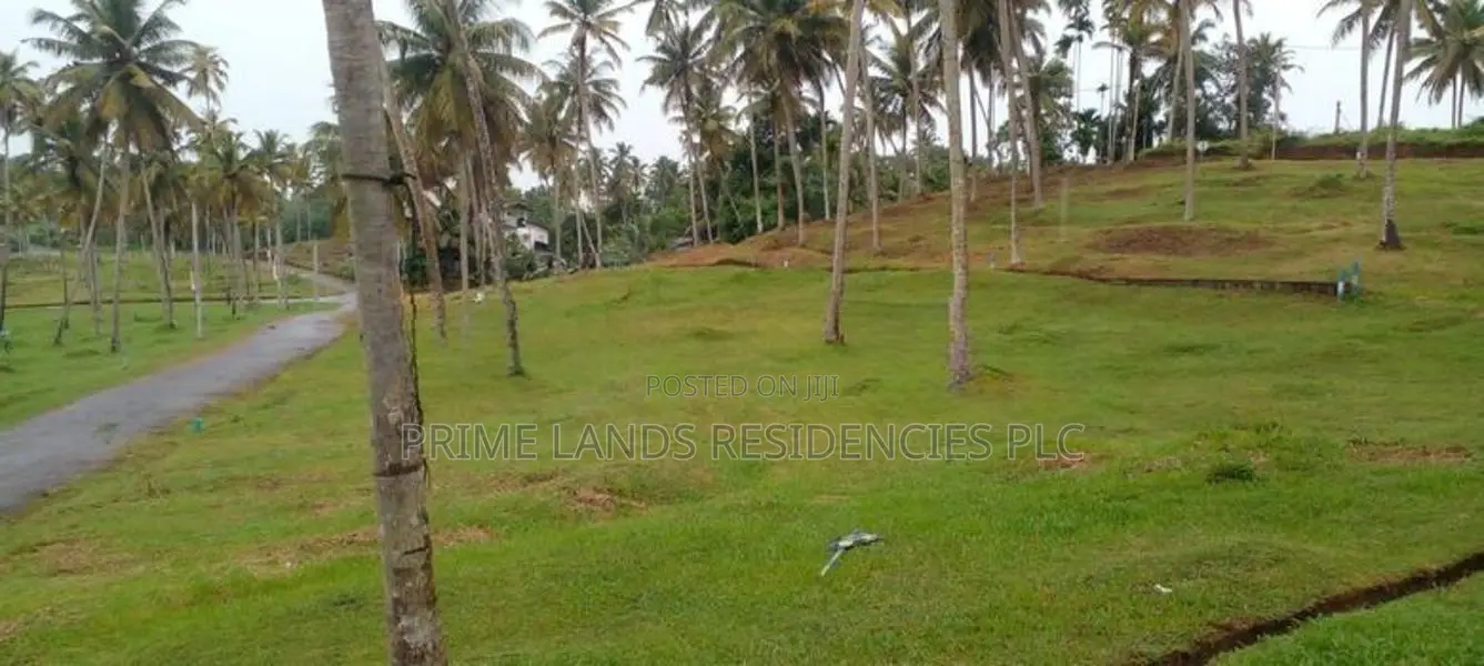 Land for Sale in Labeema