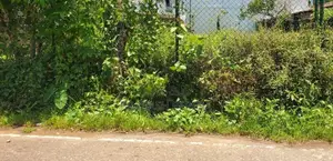 14 Perches Land for Sale Kotte Thalapathpitiya