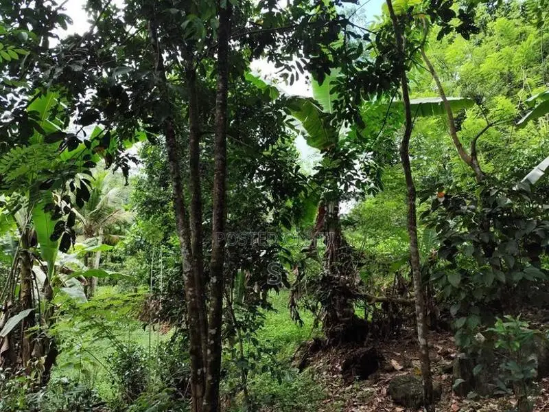 Land for Sale Elpitiya