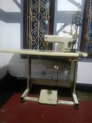 Singer Swimming Machine
