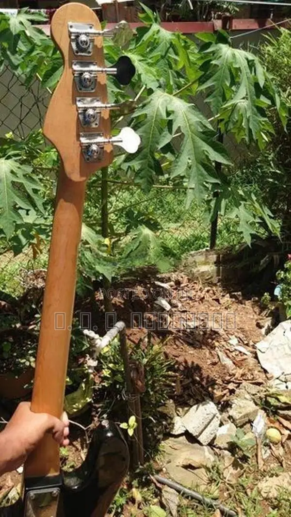 Fender Style Jazz Ii Bass Guitar