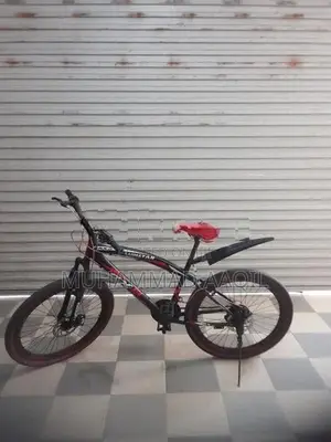 Lumstar Bicycle