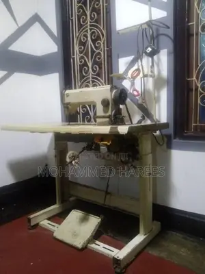 Singer Swimming Machine