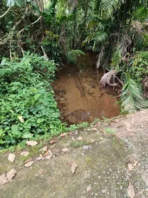 Land for Sale Elpitiya