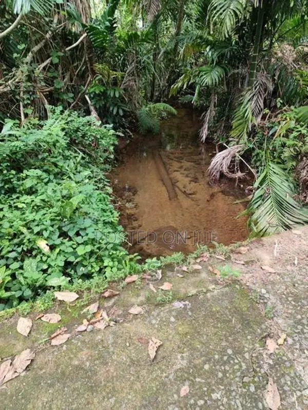 Land for Sale Elpitiya