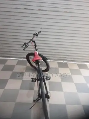Lumstar Bicycle
