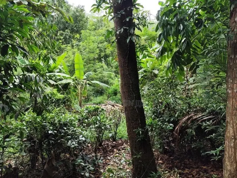 Land for Sale Elpitiya