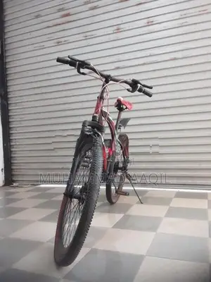 Lumstar Bicycle