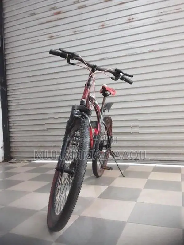 Lumstar Bicycle