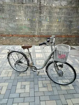 ජපන් පාපැදිය