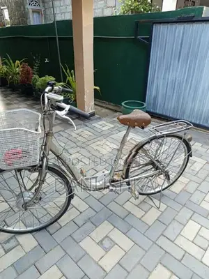 ජපන් පාපැදිය