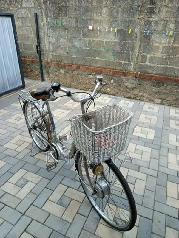 ජපන් පාපැදිය