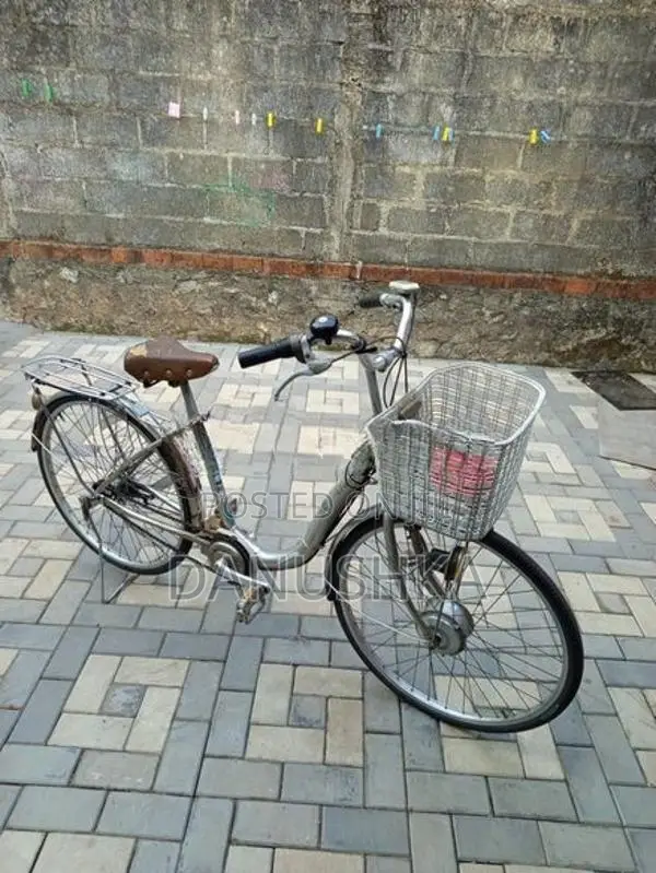 ජපන් පාපැදිය