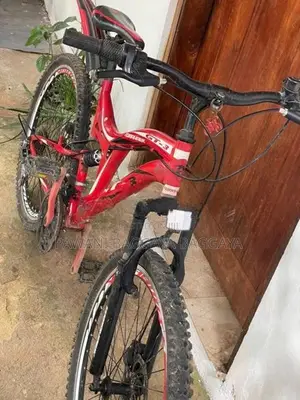 Tomahwk Bicycle 2020
