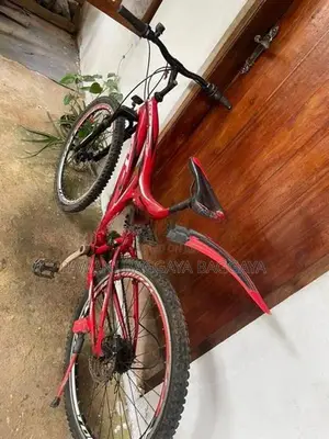 Tomahwk Bicycle 2020