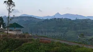 හැටන් වටවල නගරයෙන් අගනා බිම් කොටස් විකිණිමට