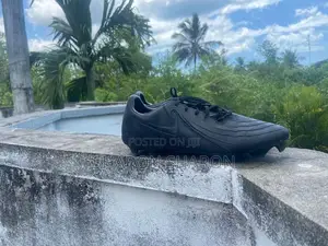 Nike Boots