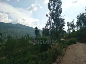 Land for Sale Galaha