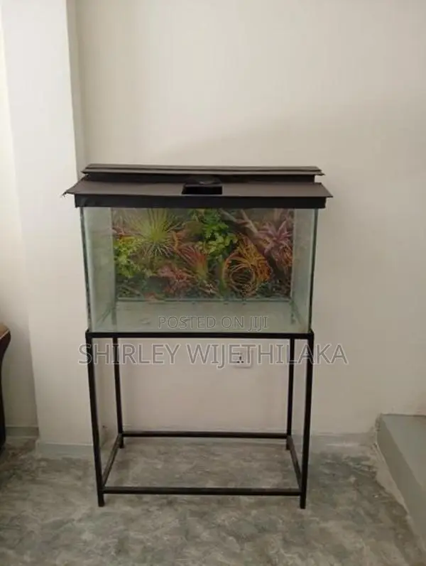 Fish Tank