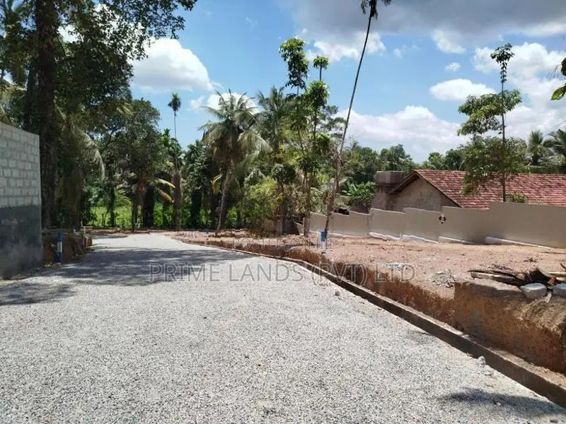 හෝමාගම නගරයෙන් බිම් කොටස් විකිණීමට ...