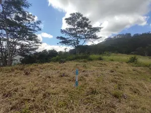 Beautiful Land in Pussalawa