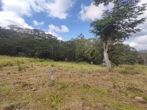 Beautiful Land in Pussalawa