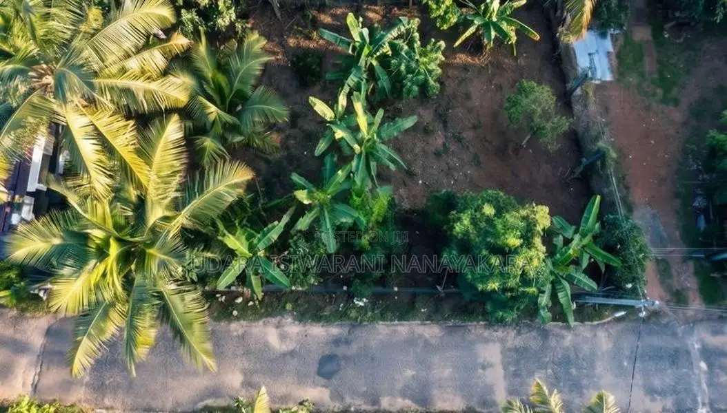 Land for Sale in Homagama